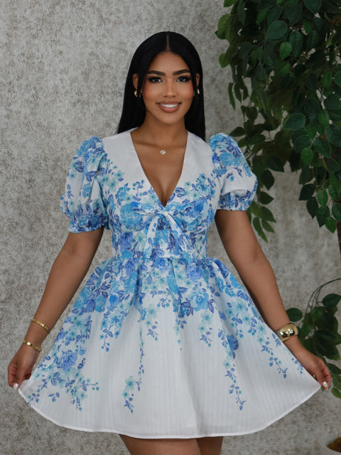 In The Garden Mini Dress by - Fitz Clothing