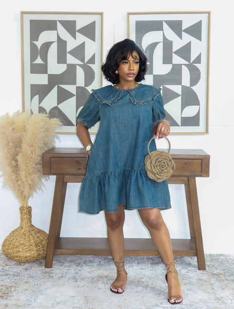 Denim Dreamer Mini Dress