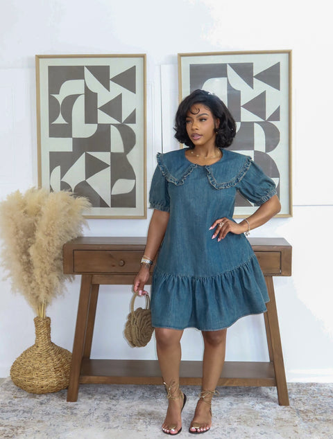Denim Dreamer Mini Dress