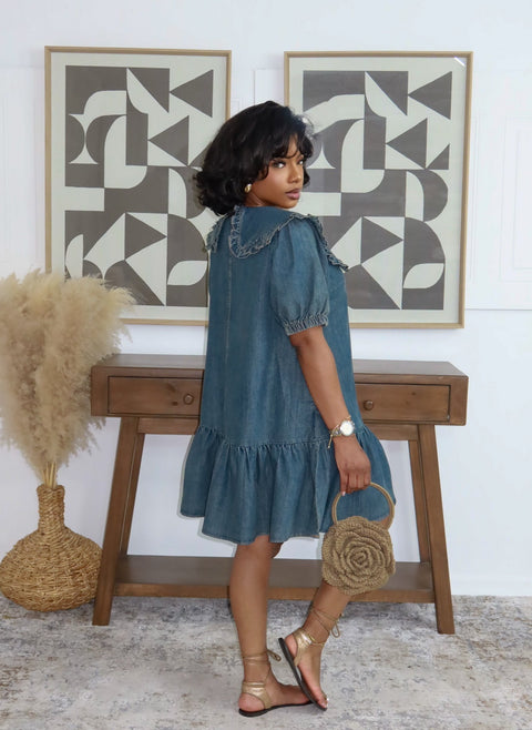 Denim Dreamer Mini Dress