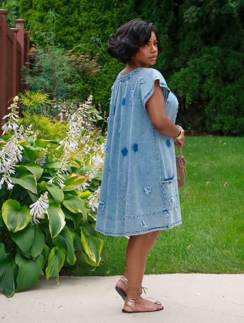 Monica Denim Dress