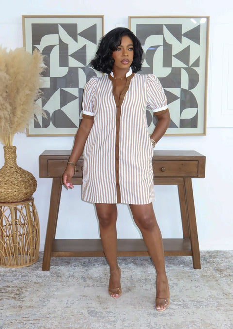 Alison Pink Stripe Shirt Dress (Mocha)