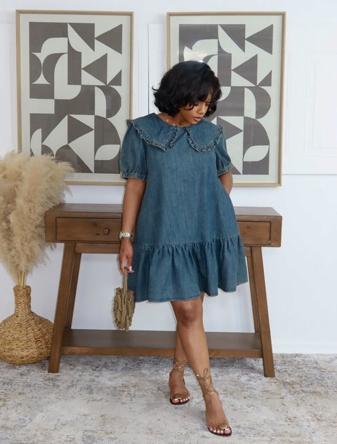 Denim Dreamer Mini Dress